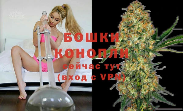 прущий лед Богородицк
