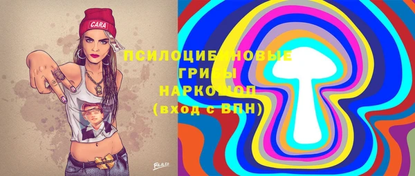 прущий лед Богородицк