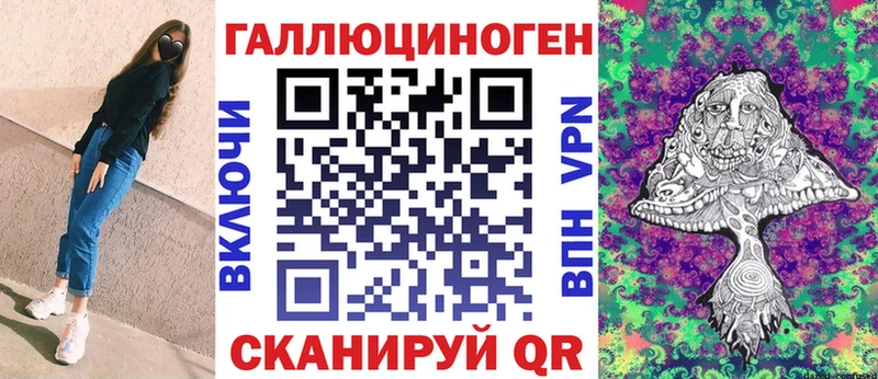 блэк спрут ССЫЛКА Волжск Псилоцибиновые грибы MAGIC MUSHROOMS