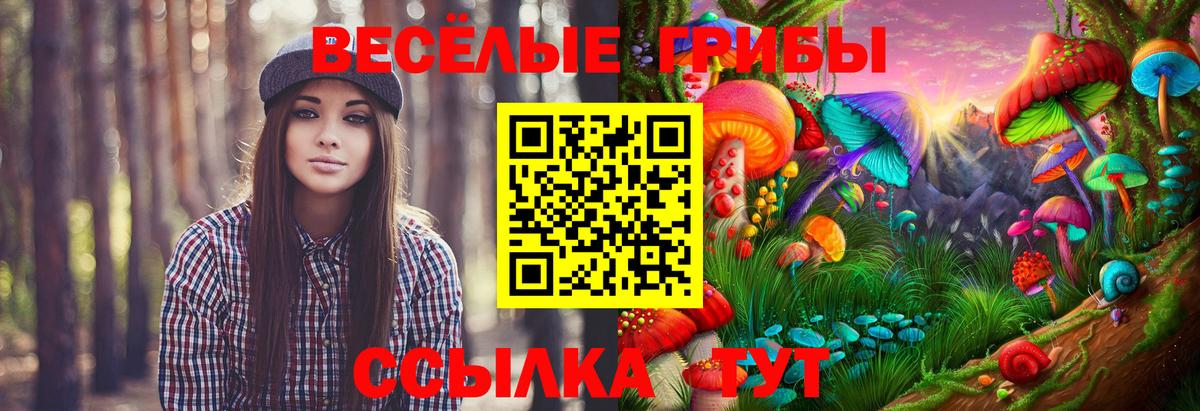 Галлюциногенные грибы MAGIC MUSHROOMS  Вход с VPN  Волжск 