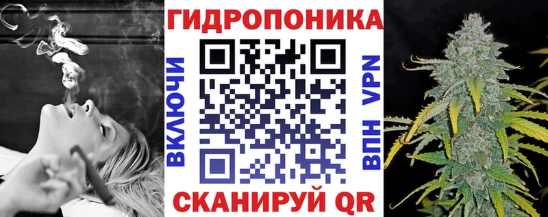 Каннабис сатива  mega маркетплейс  Волжск  купить наркотик 